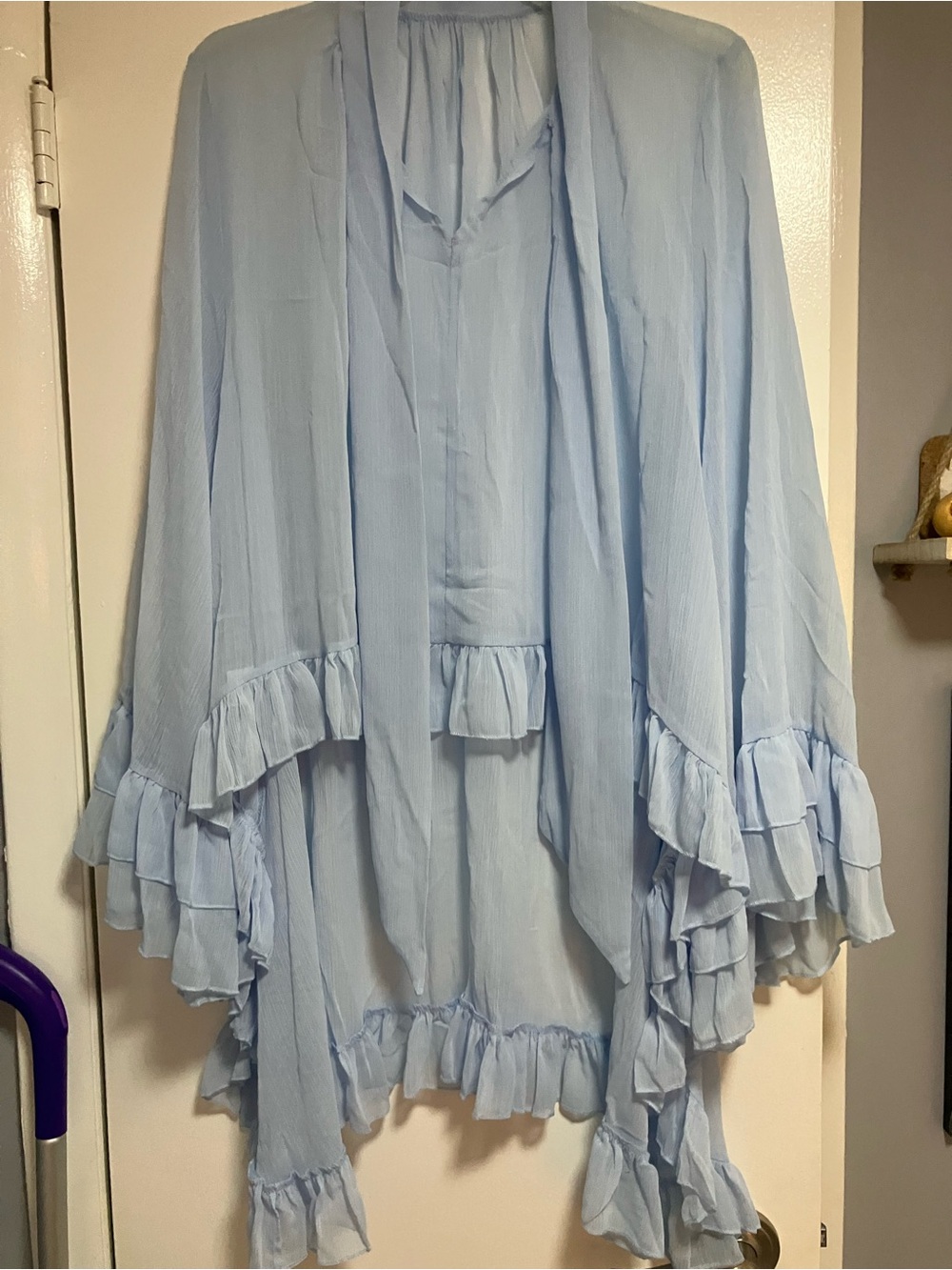 Sheer Ruffle Peasant Blouse - Blue - Picture 4 of 8